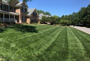 Freshly mown lawn