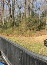 Before: brush and shrub removal